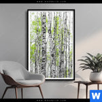 Poster Birkenwald Hochformat Produktvorschau mit dem Bild Birkenwald im Format Hochformat.