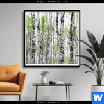 Poster Birkenwald Quadrat Produktvorschau mit dem Bild Birkenwald im Format Quadrat.