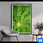 Poster Blatt Mit Wassertropfen Hochformat Produktvorschau mit dem Bild Blatt mit Wassertropfen im Format Hochformat.