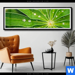 Poster Blatt Mit Wassertropfen Panorama Produktvorschau mit dem Bild Blatt mit Wassertropfen im Format Panorama.