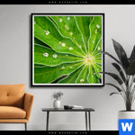 Poster Blatt Mit Wassertropfen Quadrat Produktvorschau mit dem Bild Blatt mit Wassertropfen im Format Quadrat.