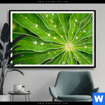 Poster Blatt Mit Wassertropfen Querformat Produktvorschau mit dem Bild Blatt mit Wassertropfen im Format Querformat.