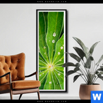 Poster Blatt Mit Wassertropfen Schmal Produktvorschau mit dem Bild Blatt mit Wassertropfen im Format Schmal.