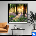 Poster Bluehender Wald Bei Sonnenaufgang Quadrat Produktvorschau mit dem Bild Blühender Wald bei Sonnenaufgang im Format Quadrat.