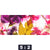 Poster Blumen Collage No 2 Panorama Motivorschau Seitenverhaeltnis 5 2