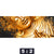 Poster Buddha Golden Splash Panorama Motivorschau Seitenverhaeltnis 5 2