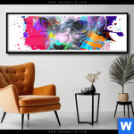 Poster Bunte Sphynx Weiss Panorama Produktvorschau mit dem Bild Bunte Sphynx Weiß im Format Panorama.