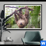 Poster Faultier Streckt Zunge Raus Querformat Produktvorschau mit dem Bild Faultier streckt Zunge raus im Format Querformat.