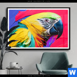 Poster Federn Papagei Querformat Produktvorschau mit dem Bild Federn Papagei im Format Querformat.