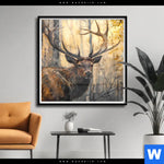 Poster Hirsch Im Morgenlicht Quadrat Produktvorschau mit dem Bild Hirsch im Morgenlicht im Format Quadrat.