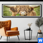 Poster Hochland Rind Mit Nasenring Panorama Produktvorschau mit dem Bild Hochland-Rind mit Nasenring im Format Panorama.
