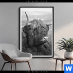 Poster Hochland Rind Schwarz Weiss No 2 Hochformat Produktvorschau mit dem Bild Hochland-Rind Schwarz-Weiß No. 2 im Format Hochformat.