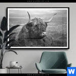 Poster Hochland Rind Schwarz Weiss No 2 Querformat Produktvorschau mit dem Bild Hochland-Rind Schwarz-Weiß No. 2 im Format Querformat.