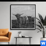 Poster Hochland Rind Schwarz Weiss Quadrat Produktvorschau mit dem Bild Hochland-Rind Schwarz-Weiß im Format Quadrat.