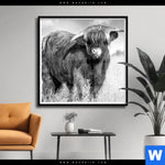 Poster Hochlandkuh Auf Einer Wiese Quadrat Produktvorschau mit dem Bild Hochlandkuh auf einer Wiese im Format Quadrat.