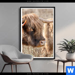 Poster Hochlandrind Auf Weide Hochformat Produktvorschau mit dem Bild Hochlandrind auf Weide im Format Hochformat.