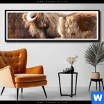 Poster Hochlandrind Auf Weide Panorama Produktvorschau mit dem Bild Hochlandrind auf Weide im Format Panorama.