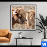 Poster Hochlandrind Auf Weide Quadrat Produktvorschau mit dem Bild Hochlandrind auf Weide im Format Quadrat.