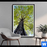 Poster Hoher Baum Hochformat Produktvorschau mit dem Bild Hoher Baum im Format Hochformat.