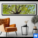 Poster Hoher Baum Panorama Produktvorschau mit dem Bild Hoher Baum im Format Panorama.