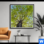 Poster Hoher Baum Quadrat Produktvorschau mit dem Bild Hoher Baum im Format Quadrat.