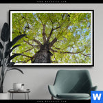 Poster Hoher Baum Querformat Produktvorschau mit dem Bild Hoher Baum im Format Querformat.