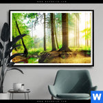 Poster Idyllischer Wald Bei Sonnenaufgang Querformat Produktvorschau mit dem Bild Idyllischer Wald bei Sonnenaufgang im Format Querformat.