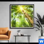 Poster Im Frischen Gruenen Wald Quadrat Produktvorschau mit dem Bild Im frischen grünen Wald im Format Quadrat.