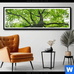 Poster Imposanter Baum Panorama Produktvorschau mit dem Bild Imposanter Baum im Format Panorama.