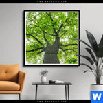 Poster Imposanter Baum Quadrat Produktvorschau mit dem Bild Imposanter Baum im Format Quadrat.