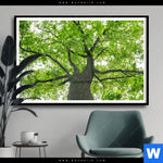 Poster Imposanter Baum Querformat Produktvorschau mit dem Bild Imposanter Baum im Format Querformat.
