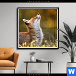 Poster Junger Fuchs Quadrat Produktvorschau mit dem Bild Junger Fuchs im Format Quadrat.
