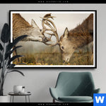 Poster Kaempfende Hirsche Querformat Produktvorschau mit dem Bild Kämpfende Hirsche im Format Querformat.