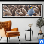 Poster Koenigspinguine Panorama Produktvorschau mit dem Bild Königspinguine im Format Panorama.