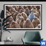 Poster Koenigspinguine Querformat Produktvorschau mit dem Bild Königspinguine im Format Querformat.