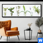 Poster Kraeuter In Flaschen Panorama Produktvorschau mit dem Bild Kräuter in Flaschen im Format Panorama.