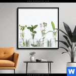 Poster Kraeuter In Flaschen Quadrat Produktvorschau mit dem Bild Kräuter in Flaschen im Format Quadrat.