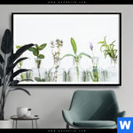 Poster Kraeuter In Flaschen Querformat Produktvorschau mit dem Bild Kräuter in Flaschen im Format Querformat.