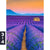 Poster Lavendel Blumen Feld Hochformat Motivorschau Seitenverhaeltnis 3 4