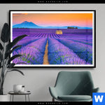 Poster Lavendel Blumen Feld Querformat Produktvorschau mit dem Bild Lavendel Blumen Feld im Format Querformat.