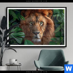 Poster Loewe Im Gruenen Regenwald Querformat Produktvorschau mit dem Bild Löwe im grünen Regenwald im Format Querformat.