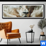 Poster Loewe Sanft Umhuellt Panorama Produktvorschau mit dem Bild Löwe sanft umhüllt im Format Panorama.