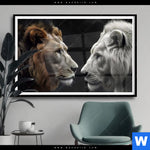 Poster Loewen Zweisamkeit Querformat Produktvorschau mit dem Bild Löwen - Zweisamkeit im Format Querformat.