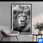 Poster Loewengesicht In Rauch Hochformat Produktvorschau mit dem Bild Löwengesicht in Rauch im Format Hochformat.