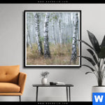 Poster Nebliger Morgen Im Birkenwald Quadrat Produktvorschau mit dem Bild Nebliger Morgen im Birkenwald im Format Quadrat.