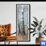 Poster Nebliger Morgen Im Birkenwald Schmal Produktvorschau mit dem Bild Nebliger Morgen im Birkenwald im Format Schmal.