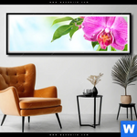 Poster Orchidee Wassertropfen Panorama Produktvorschau mit dem Bild Orchidee & Wassertropfen im Format Panorama.