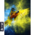 Poster Papagei Farbexplosion Hochformat Motivorschau Seitenverhaeltnis 3 4