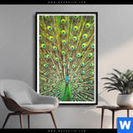 Poster Pfauenschwanz Hochformat Produktvorschau mit dem Bild Pfauenschwanz im Format Hochformat.