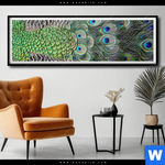 Poster Pfaufedern Panorama Produktvorschau mit dem Bild Pfaufedern im Format Panorama.